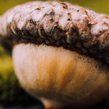 Creating a Shell Script