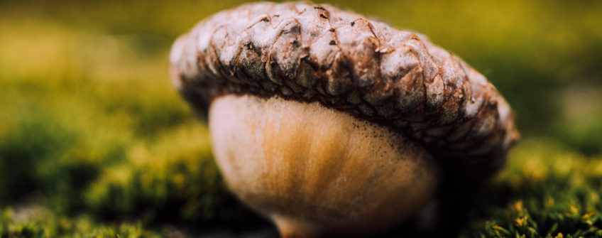 Creating a Shell Script