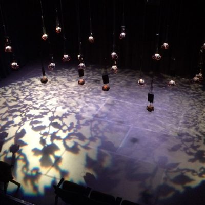 With lighting, including silhouettes of branches and leaves (high angle view)